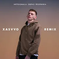 Netsignala